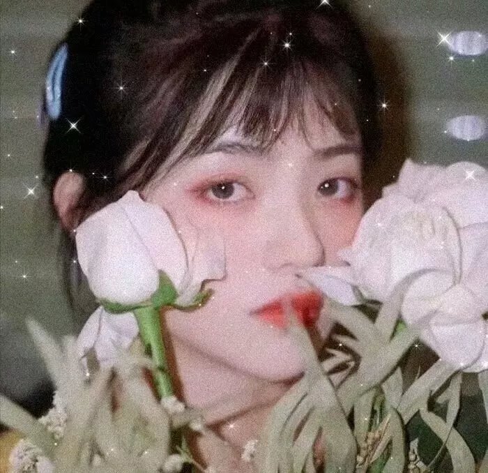 好莱坞华人